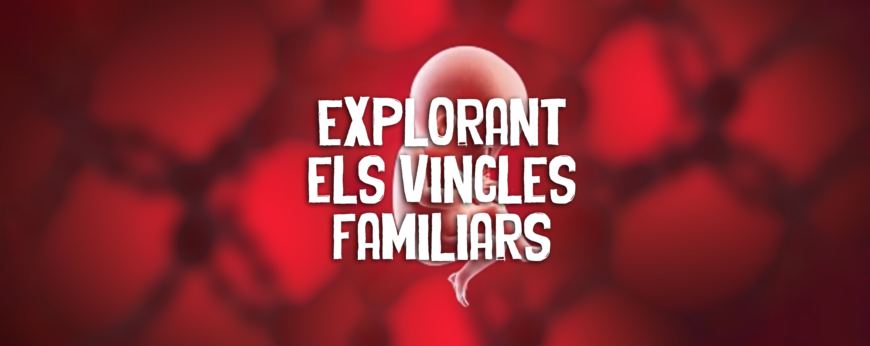 You are currently viewing Explorant els vincles familiars.