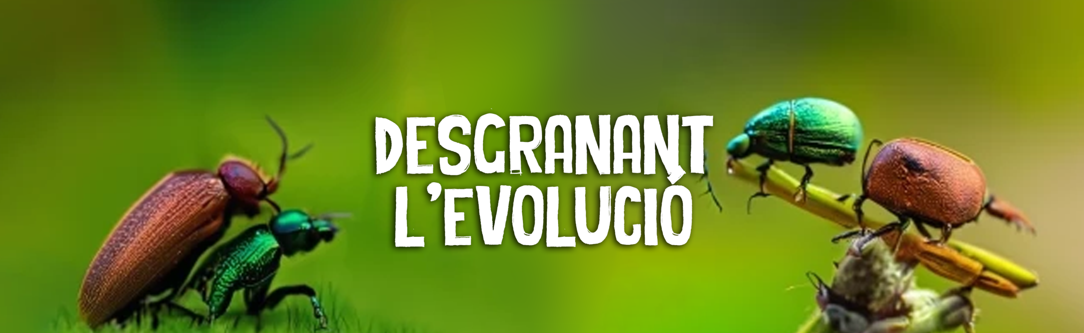 Desgranant l’evolució