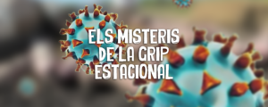 Read more about the article Els misteris de la grip estacional