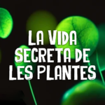 vida secreta plantes xarrup de ciencia català divulgació fcri micronautes