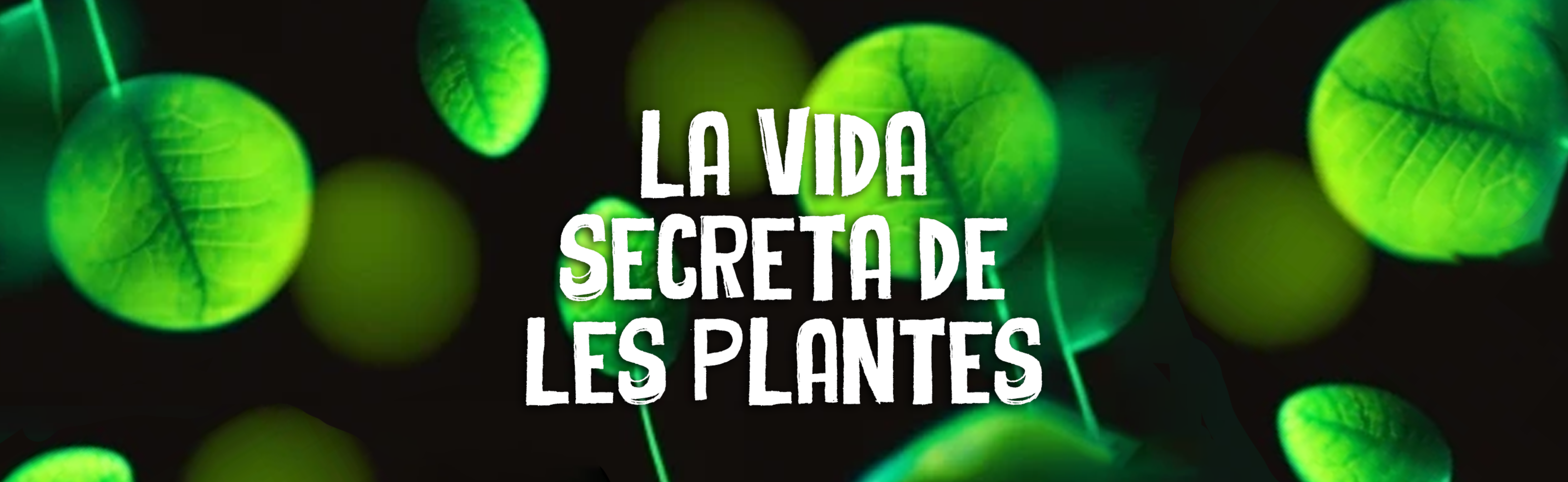 La vida secreta de les plantes