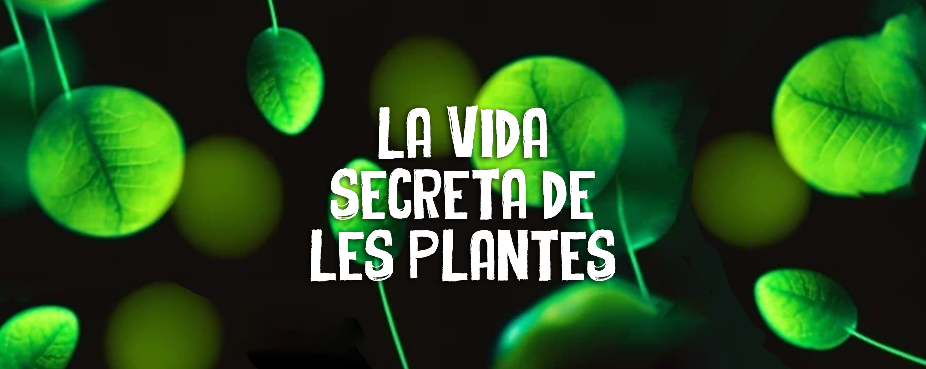 You are currently viewing La vida secreta de les plantes